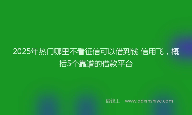 2025年热门哪里不看征信可以借到钱 信用飞，概括5个靠谱的借款平台
