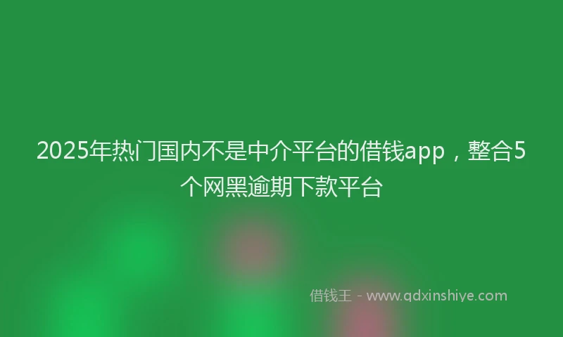 2025年热门国内不是中介平台的借钱app，整合5个网黑逾期下款平台