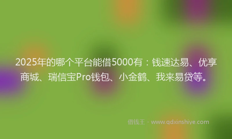 2025年的哪个平台能借5000有：钱速达易、优享商城、瑞信宝Pro钱包、小金鹤、我来易贷等。