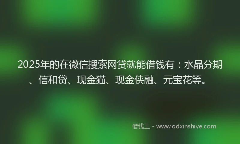 2025年的在微信搜索网贷就能借钱有：水晶分期、信和贷、现金猫、现金侠融、元宝花等。