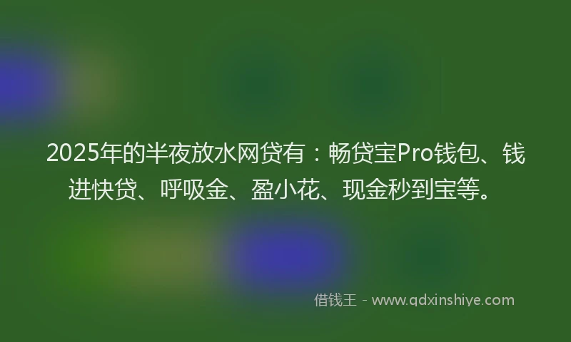 2025年的半夜放水网贷有：畅贷宝Pro钱包、钱进快贷、呼吸金、盈小花、现金秒到宝等。