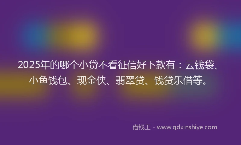 2025年的哪个小贷不看征信好下款有：云钱袋、小鱼钱包、现金侠、翡翠贷、钱贷乐借等。