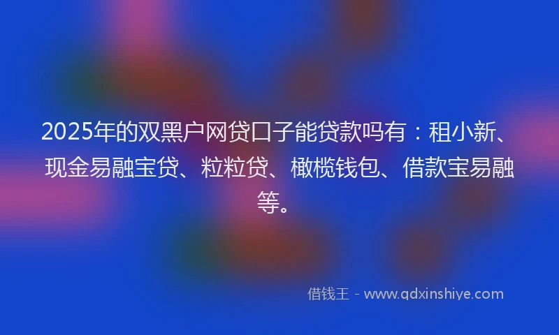 2025年的双黑户网贷口子能贷款吗有：租小新、现金易融宝贷、粒粒贷、橄榄钱包、借款宝易融等。