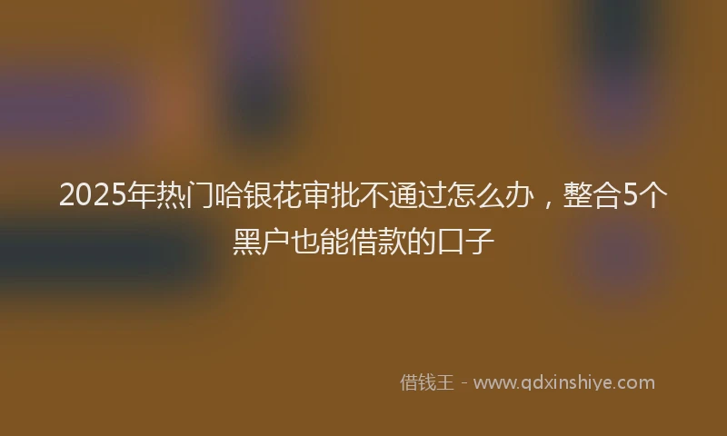 2025年热门哈银花审批不通过怎么办，整合5个黑户也能借款的口子