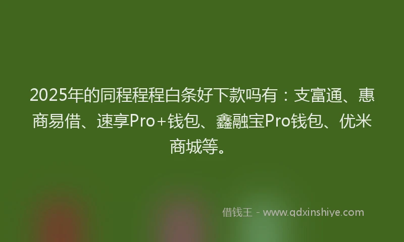 2025年的同程程程白条好下款吗有：支富通、惠商易借、速享Pro+钱包、鑫融宝Pro钱包、优米商城等。