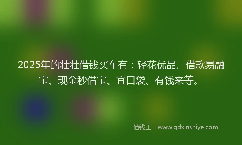 2025年的壮壮借钱买车有：轻花优品、借款易融宝、现金秒借宝、宜口袋、有钱来等。