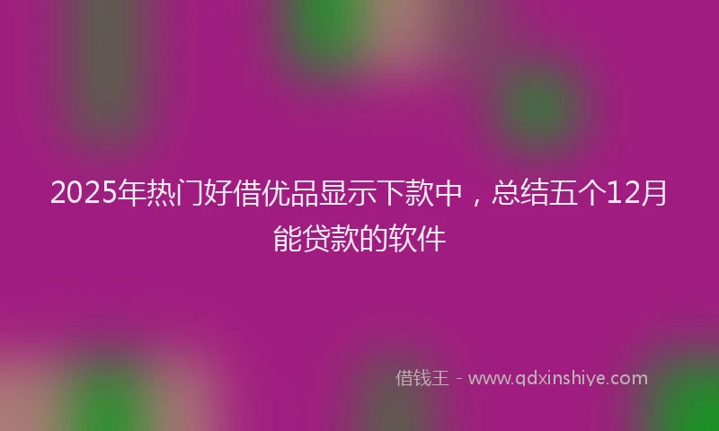 2025年热门好借优品显示下款中，总结五个12月能贷款的软件