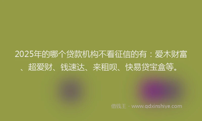 2025年的哪个贷款机构不看征信的有：爱木财富、超爱财、钱速达、来租呗、快易贷宝盒等。