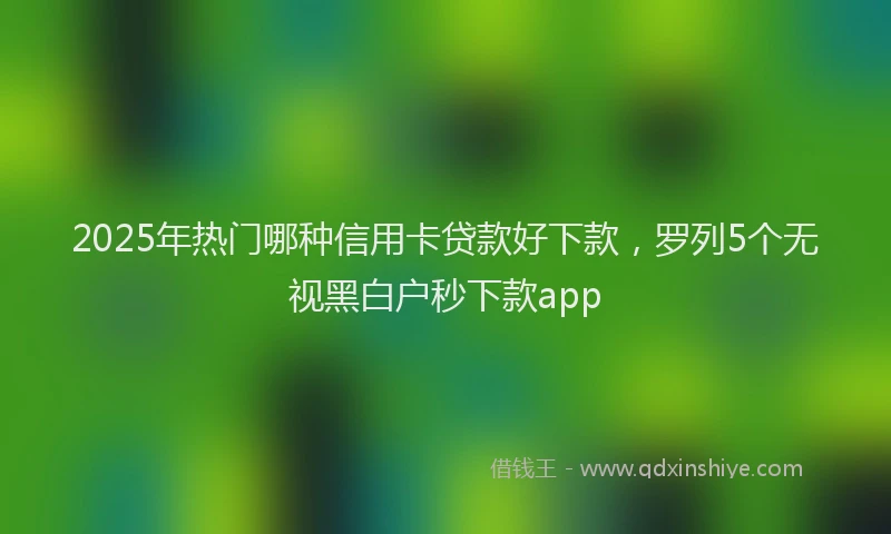 2025年热门哪种信用卡贷款好下款，罗列5个无视黑白户秒下款app