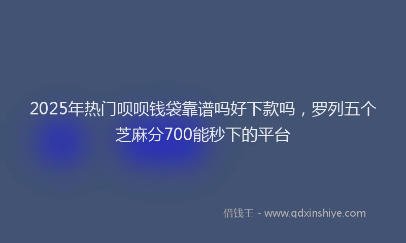 2025年热门呗呗钱袋靠谱吗好下款吗，罗列五个芝麻分700能秒下的平台