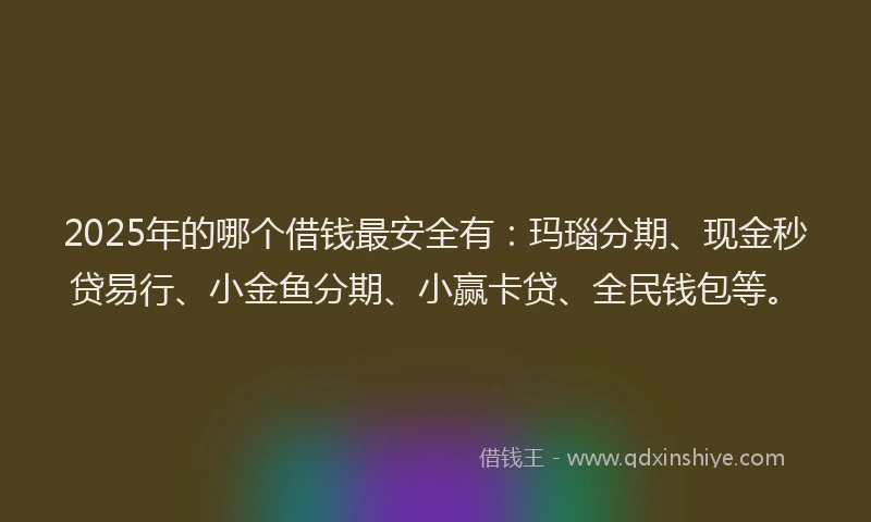 2025年的哪个借钱最安全有：玛瑙分期、现金秒贷易行、小金鱼分期、小赢卡贷、全民钱包等。