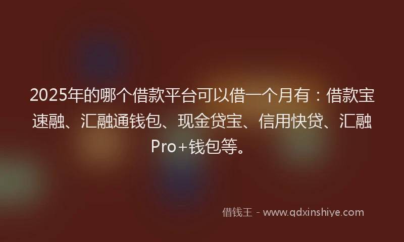 2025年的哪个借款平台可以借一个月有：借款宝速融、汇融通钱包、现金贷宝、信用快贷、汇融Pro+钱包等。