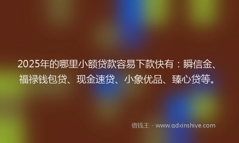 2025年的哪里小额贷款容易下款快有：瞬信金、福禄钱包贷、现金速贷、小象优品、臻心贷等。