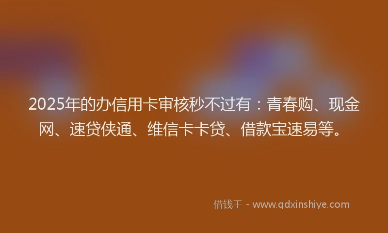 2025年的办信用卡审核秒不过有：青春购、现金网、速贷侠通、维信卡卡贷、借款宝速易等。