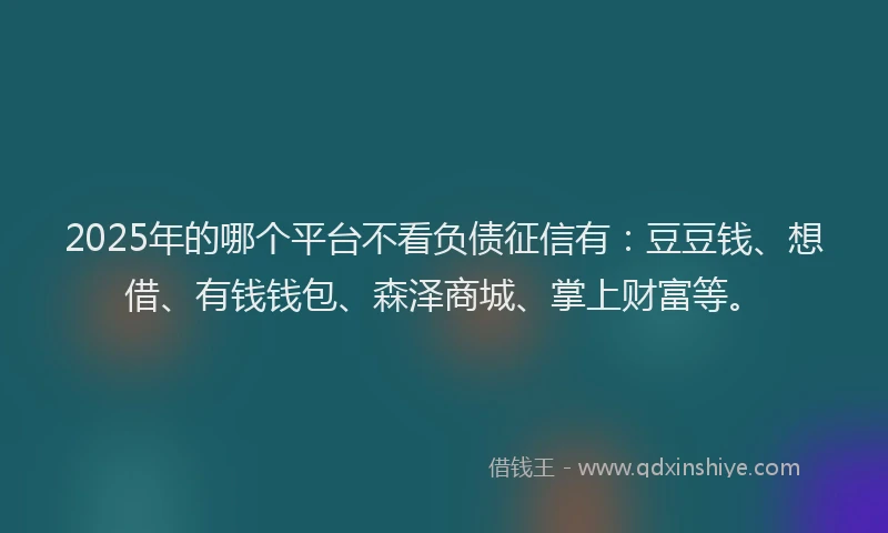 2025年的哪个平台不看负债征信有：豆豆钱、想借、有钱钱包、森泽商城、掌上财富等。