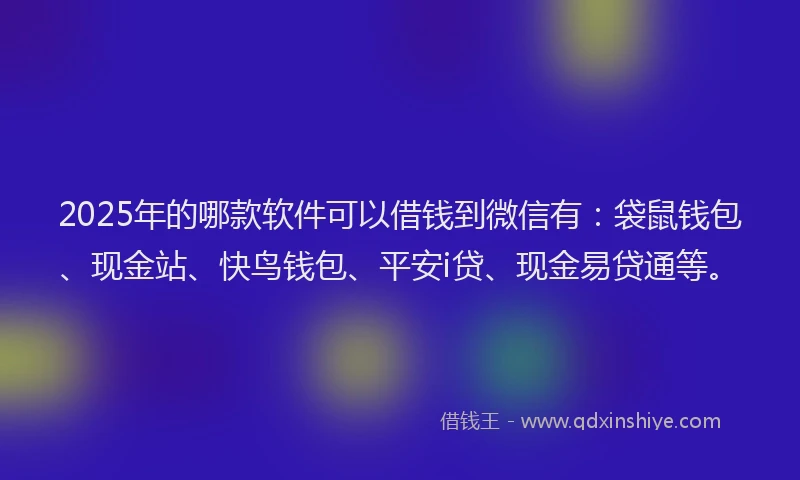 2025年的哪款软件可以借钱到微信有：袋鼠钱包、现金站、快鸟钱包、平安i贷、现金易贷通等。