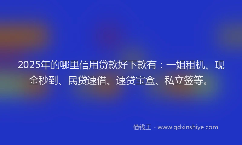 2025年的哪里信用贷款好下款有：一姐租机、现金秒到、民贷速借、速贷宝盒、私立签等。