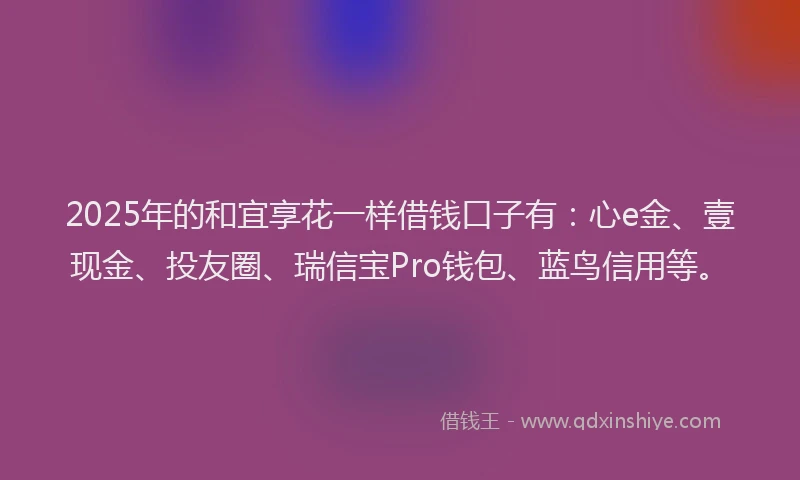 2025年的和宜享花一样借钱口子有：心e金、壹现金、投友圈、瑞信宝Pro钱包、蓝鸟信用等。