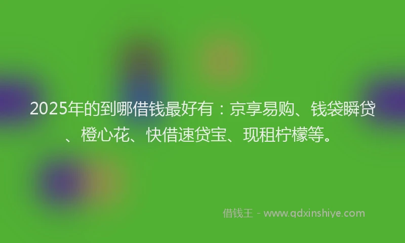 2025年的到哪借钱最好有：京享易购、钱袋瞬贷、橙心花、快借速贷宝、现租柠檬等。
