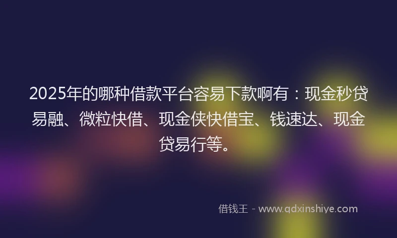 2025年的哪种借款平台容易下款啊有：现金秒贷易融、微粒快借、现金侠快借宝、钱速达、现金贷易行等。