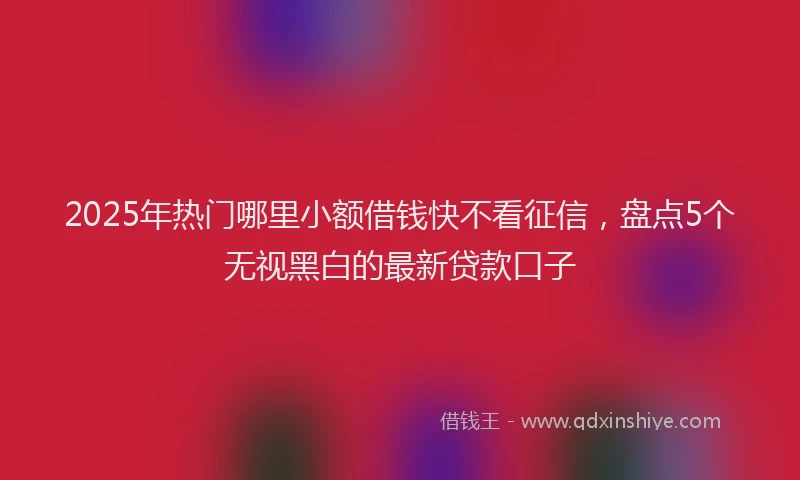 2025年热门哪里小额借钱快不看征信，盘点5个无视黑白的最新贷款口子