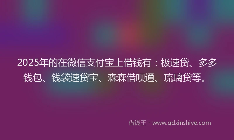 2025年的在微信支付宝上借钱有：极速贷、多多钱包、钱袋速贷宝、森森借呗通、琉璃贷等。