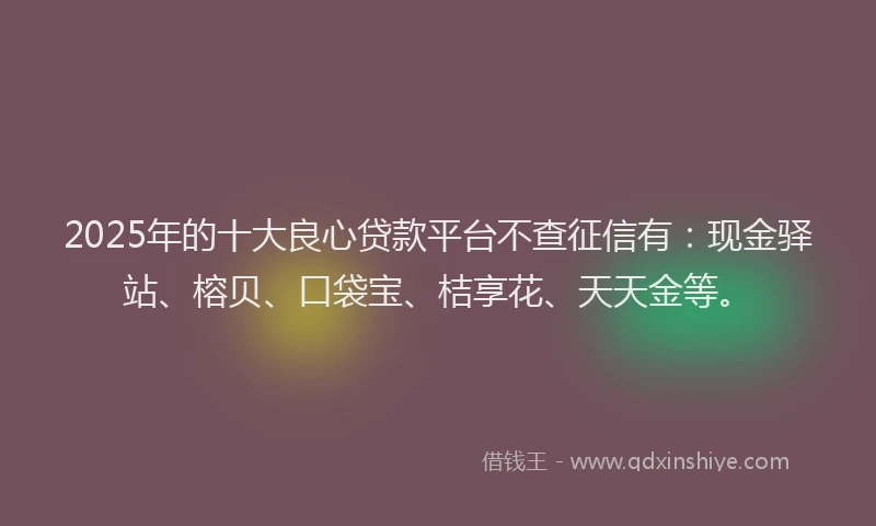 2025年的十大良心贷款平台不查征信有：现金驿站、榕贝、口袋宝、桔享花、天天金等。