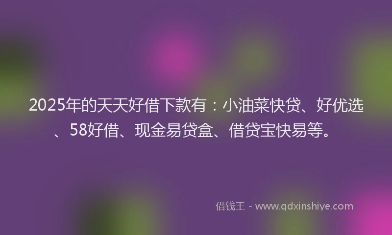 2025年的天天好借下款有：小油菜快贷、好优选、58好借、现金易贷盒、借贷宝快易等。