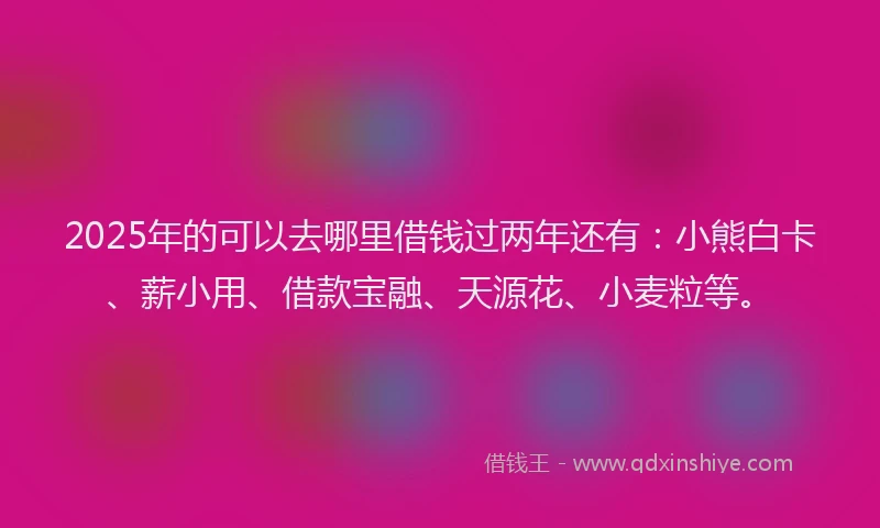 2025年的可以去哪里借钱过两年还有：小熊白卡、薪小用、借款宝融、天源花、小麦粒等。