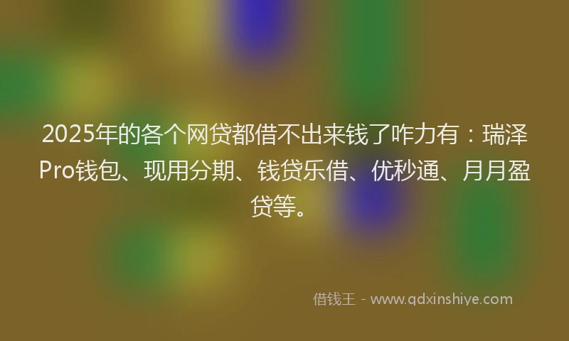2025年的各个网贷都借不出来钱了咋力有：瑞泽Pro钱包、现用分期、钱贷乐借、优秒通、月月盈贷等。