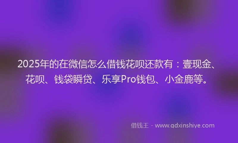 2025年的在微信怎么借钱花呗还款有：壹现金、花呗、钱袋瞬贷、乐享Pro钱包、小金鹿等。