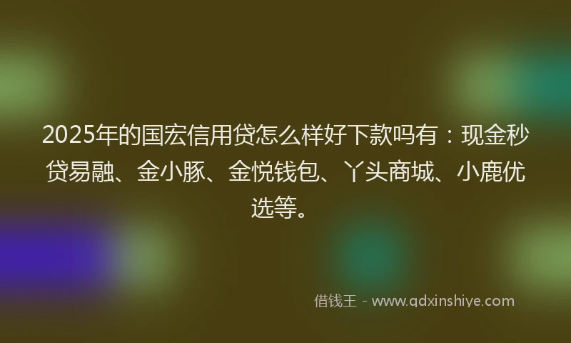 2025年的国宏信用贷怎么样好下款吗有：现金秒贷易融、金小豚、金悦钱包、丫头商城、小鹿优选等。