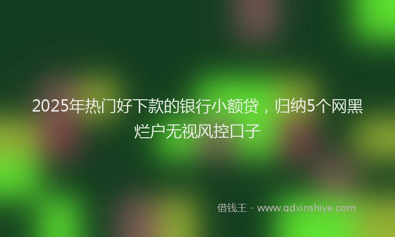 2025年热门好下款的银行小额贷，归纳5个网黑烂户无视风控口子