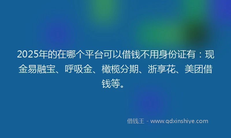 2025年的在哪个平台可以借钱不用身份证有：现金易融宝、呼吸金、橄榄分期、浙享花、美团借钱等。