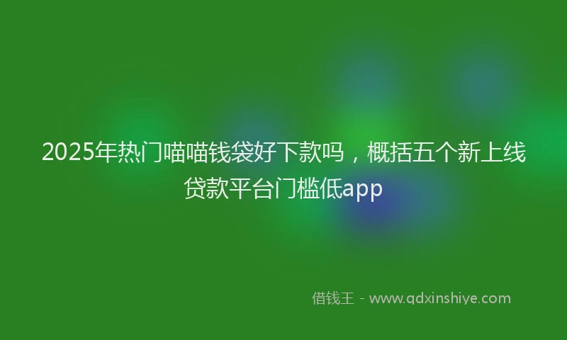 2025年热门喵喵钱袋好下款吗，概括五个新上线贷款平台门槛低app
