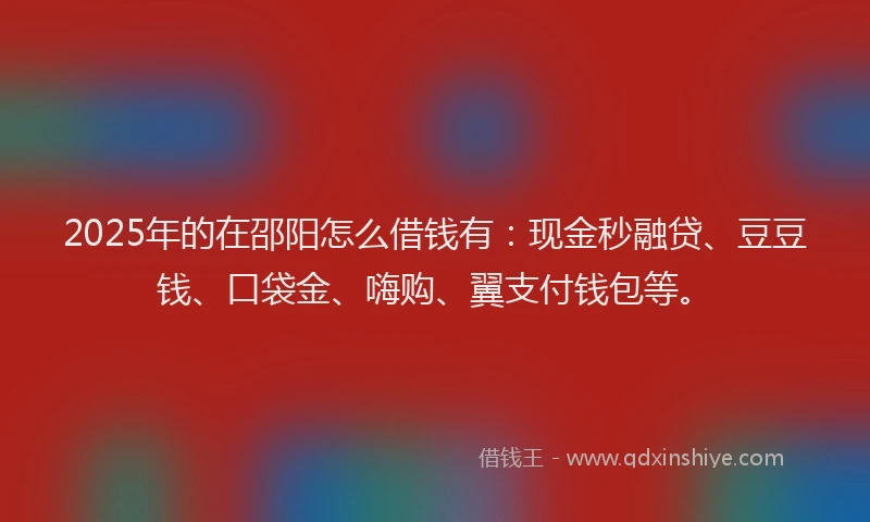 2025年的在邵阳怎么借钱有：现金秒融贷、豆豆钱、口袋金、嗨购、翼支付钱包等。