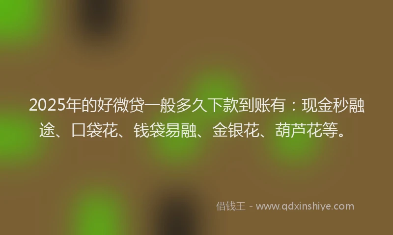 2025年的好微贷一般多久下款到账有：现金秒融途、口袋花、钱袋易融、金银花、葫芦花等。