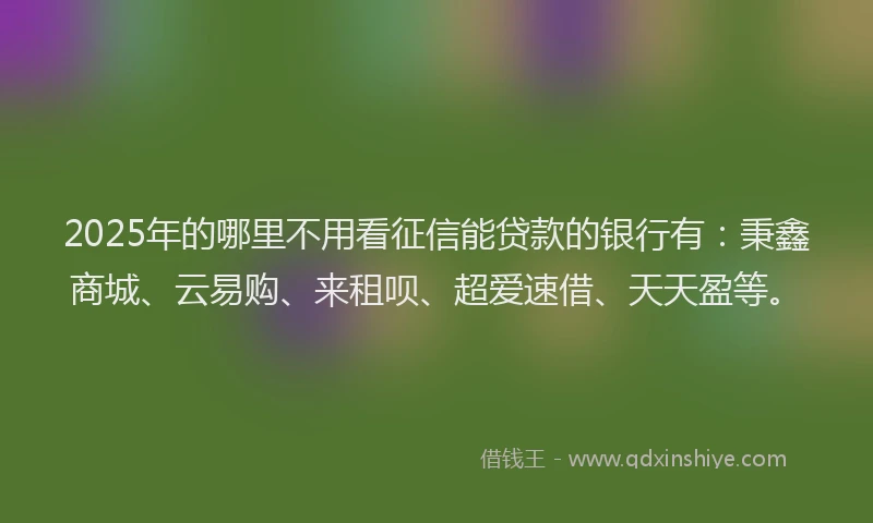 2025年的哪里不用看征信能贷款的银行有：秉鑫商城、云易购、来租呗、超爱速借、天天盈等。