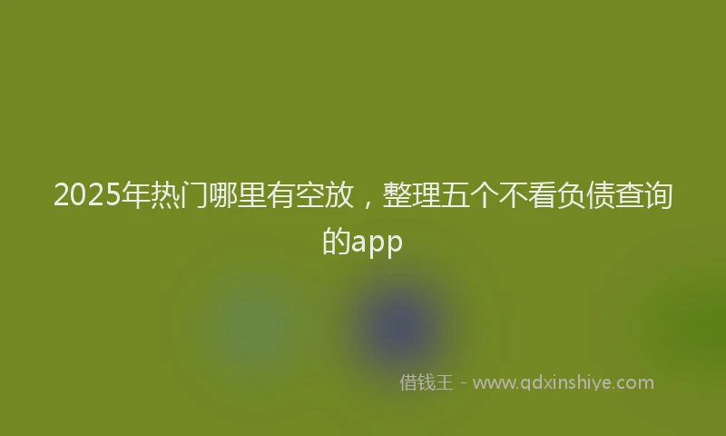 2025年热门哪里有空放，整理五个不看负债查询的app