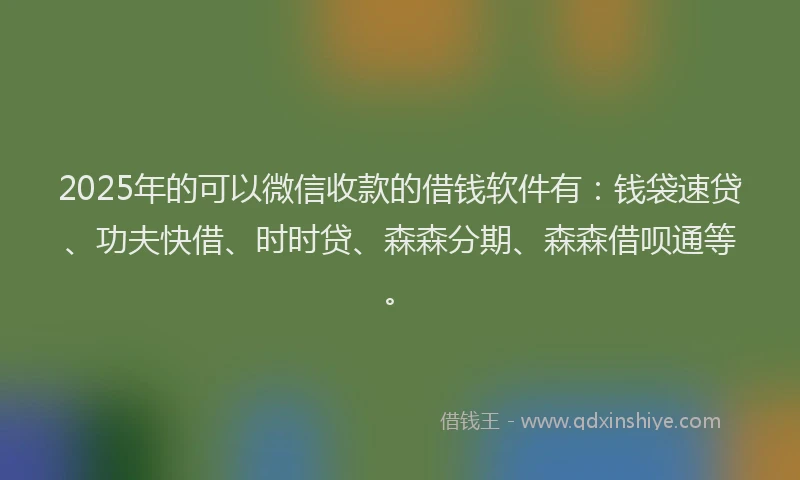 2025年的可以微信收款的借钱软件有：钱袋速贷、功夫快借、时时贷、森森分期、森森借呗通等。