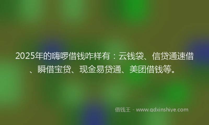 2025年的嗨啰借钱咋样有：云钱袋、信贷通速借、瞬借宝贷、现金易贷通、美团借钱等。