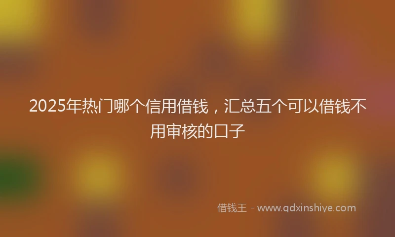 2025年热门哪个信用借钱，汇总五个可以借钱不用审核的口子