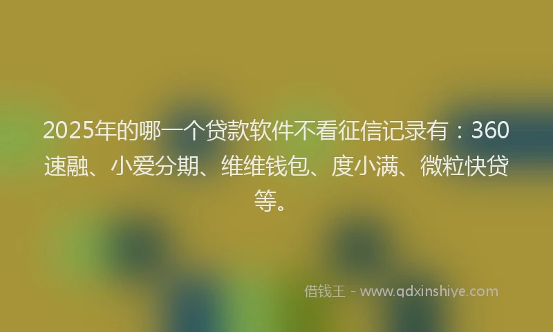 2025年的哪一个贷款软件不看征信记录有：360速融、小爱分期、维维钱包、度小满、微粒快贷等。