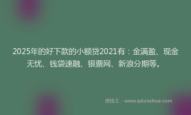 2025年的好下款的小额贷2021有：金满盈、现金无忧、钱袋速融、银票网、新浪分期等。