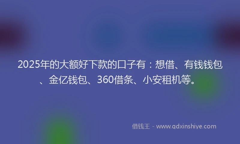 2025年的大额好下款的口子有：想借、有钱钱包、金亿钱包、360借条、小安租机等。