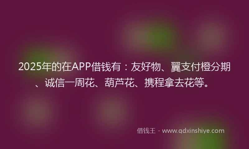 2025年的在APP借钱有：友好物、翼支付橙分期、诚信一周花、葫芦花、携程拿去花等。