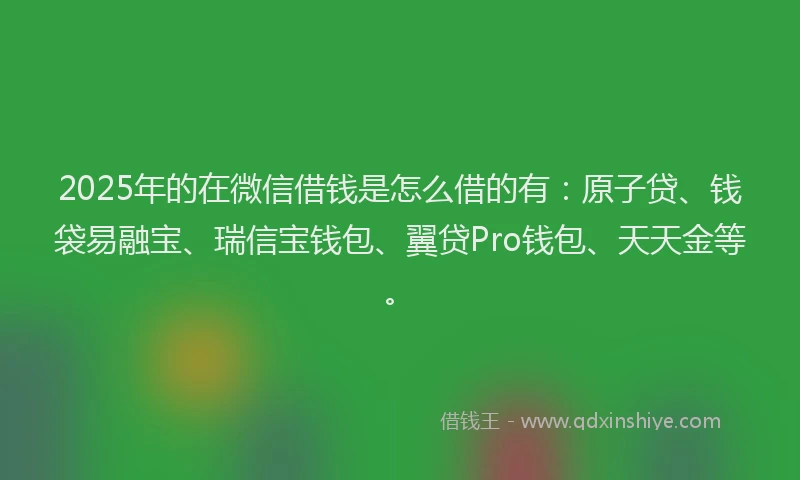 2025年的在微信借钱是怎么借的有：原子贷、钱袋易融宝、瑞信宝钱包、翼贷Pro钱包、天天金等。