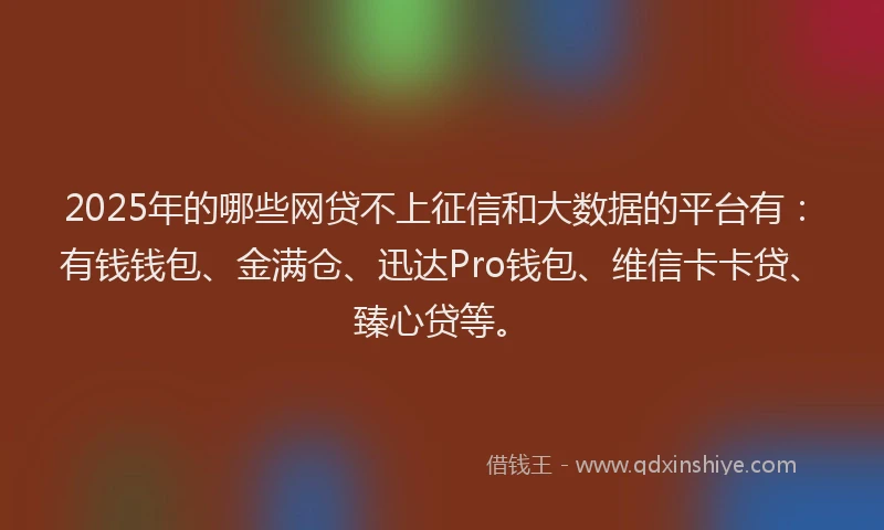 2025年的哪些网贷不上征信和大数据的平台有：有钱钱包、金满仓、迅达Pro钱包、维信卡卡贷、臻心贷等。