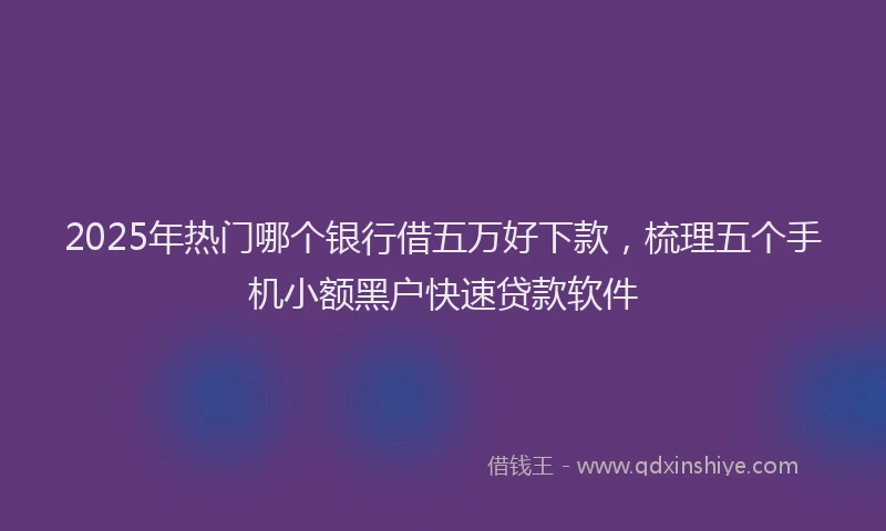 2025年热门哪个银行借五万好下款，梳理五个手机小额黑户快速贷款软件