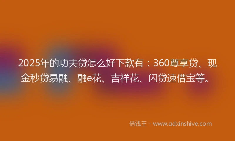 2025年的功夫贷怎么好下款有：360尊享贷、现金秒贷易融、融e花、吉祥花、闪贷速借宝等。